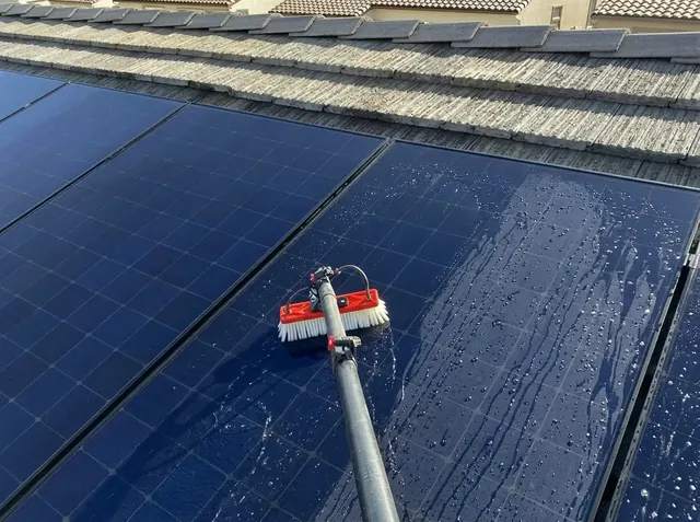 Solar Panel Cleaning